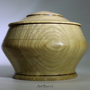 Ash Box #22