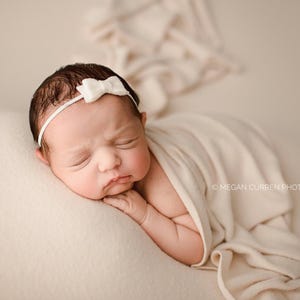 Cashmere Cozy Backdrop, Light Beige Backdrop, Newborn Photo Prop, Newborn Posing Fabric, Newborn Photography Fabric Backdrop - Fawn