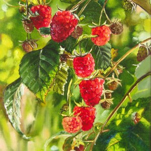 Raspberry Original Oil Paintings on Canvas, Fruit Kitchen Art, Hyperrealism, Farmhome Wall Decor, Summer Country Garden, Realistic Wall Art