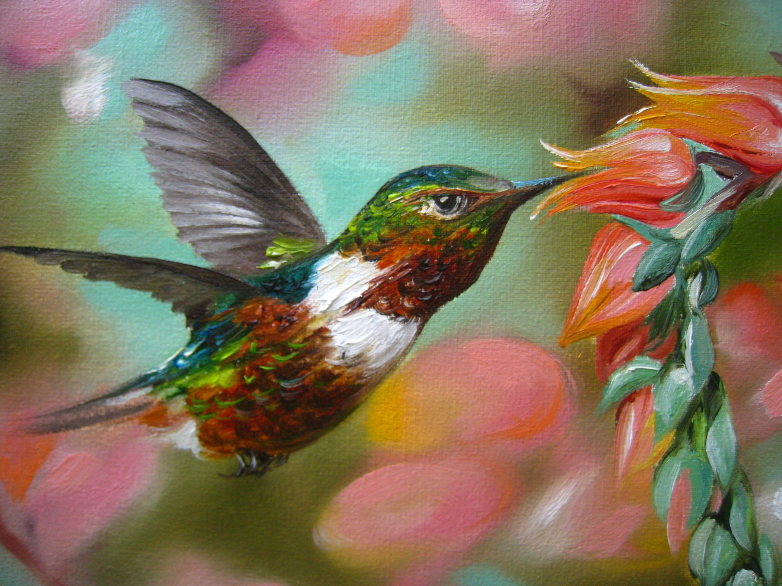 Beautiful Oil Paintings Of Birds