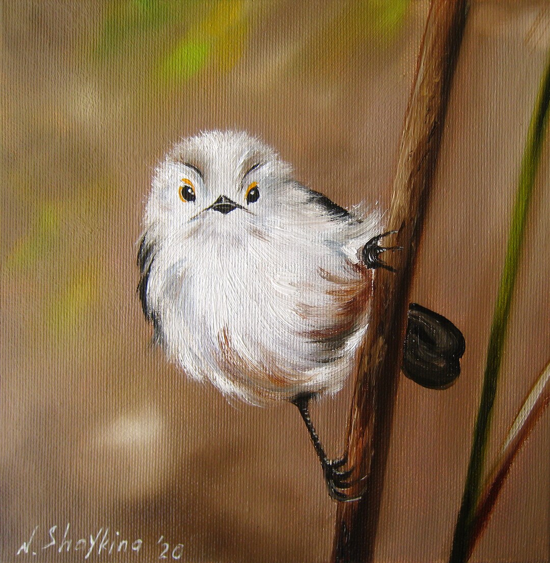 Fluffy Small Bird Painting Original Oil Canvas Longtailed Etsy