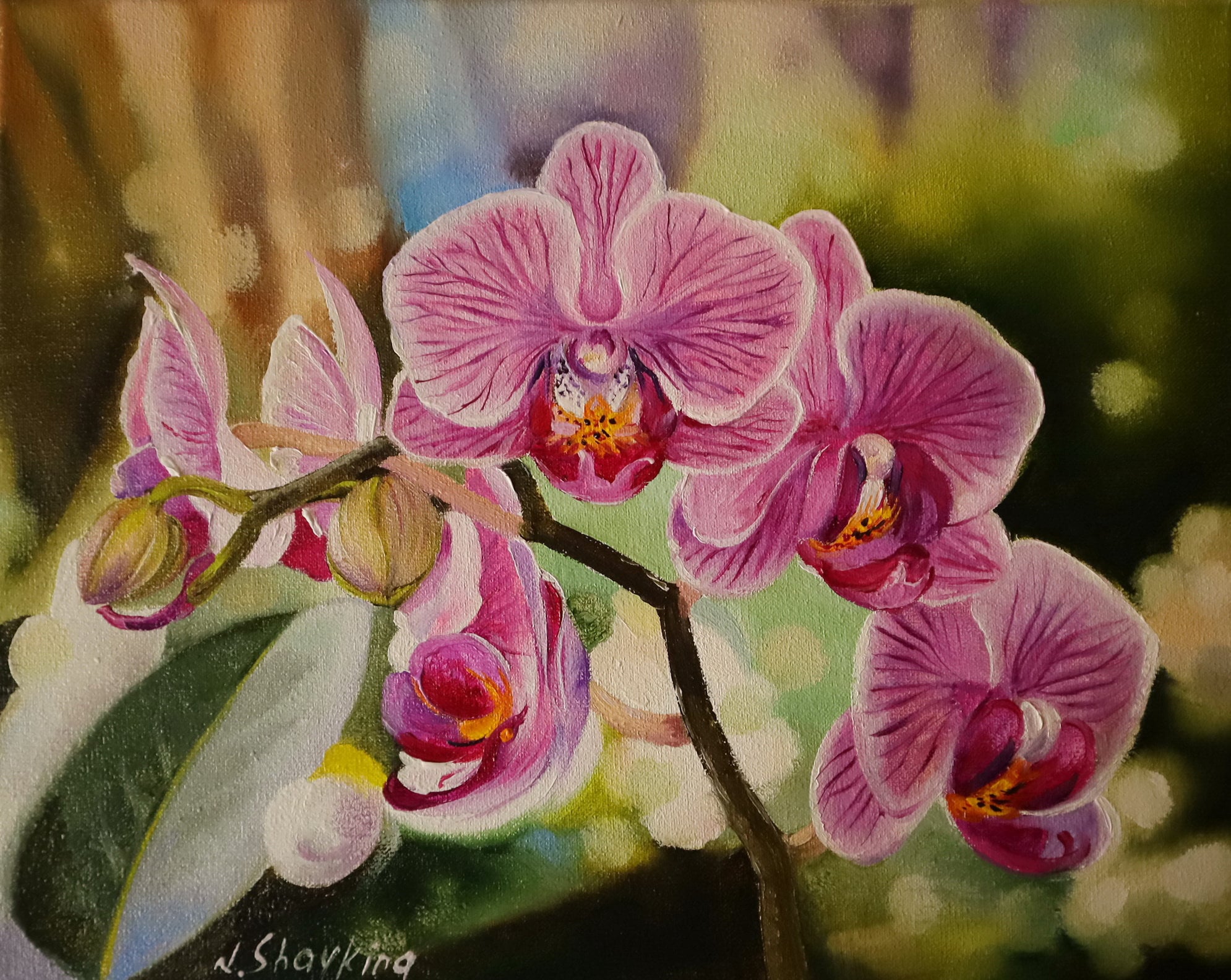 【真作】絵画　作者不詳　サイン有　油彩4号　花　ピンクの優美な花　T197 真作】絵画作者不詳サイン有油彩4号花ピンクの優美な花T197