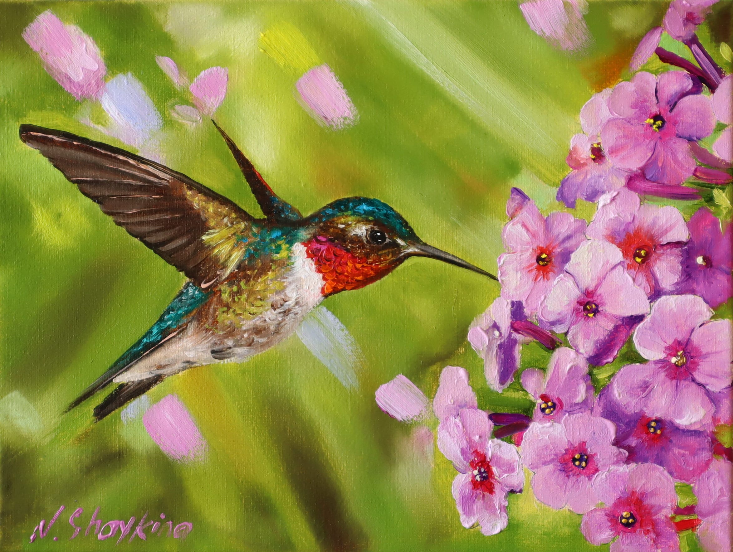 Original Oil Painting Hummingbird With Flowers, Beautiful Purple Phlox  Canvas Art Realistic Wildlife Wall Art, Bird Lover Gift Beauty Nature 