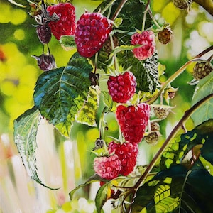 Original Realistic Raspberry Oil Painting, Raspberries Canvas Wall Art, Garden Scenery, Serene Energy, Atmospheric Light Plain Air Artwork