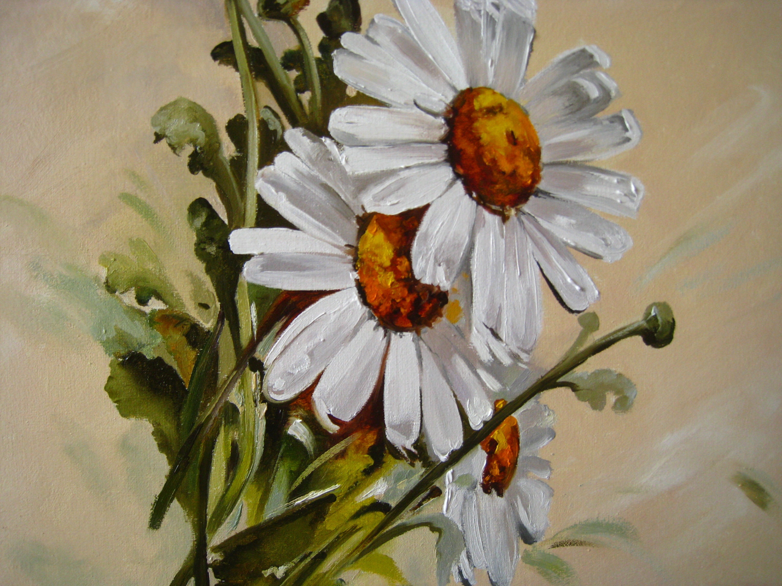 Daisy Flower Painting