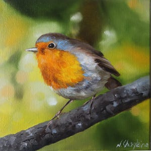 Original Oil Painting: Robin Bird on Canvas - Spring Wildlife Art