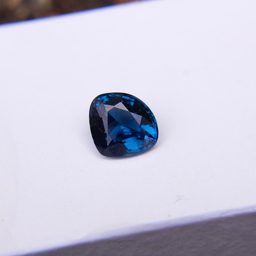 #『Southern blue 』　カノコダカラ貝 Southern blue 』 カノコダカラ貝 Southern blue