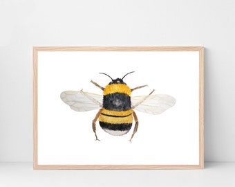 Bumble bee print | Bee illustration print | Bee art | Living room print