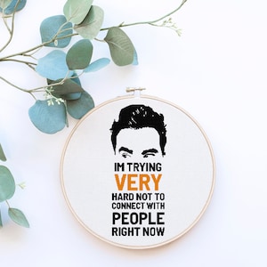 Schitt's Creek David Quote -  Counted Cross Stitch Pattern - PDF Digital Download