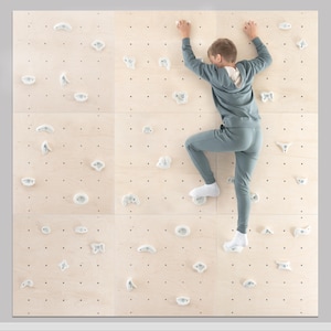 kids climbing panel, climbingwall, Indoor rock climbing wall panel kit, kids climbing wall, toddler wall climb