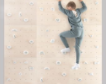 Kids Indoor Climbing Wall Panel Kit: Plywood Rock Climbing