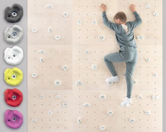 Kids Indoor Rock Climbing Wall Panel Kit: Plywood with Climbing Holds