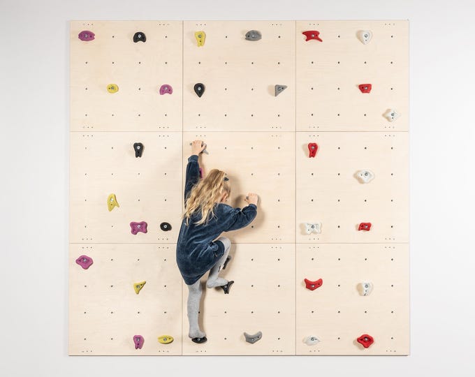 Kids Indoor Climbing Wall Panel Kit: Plywood Rock Climbing