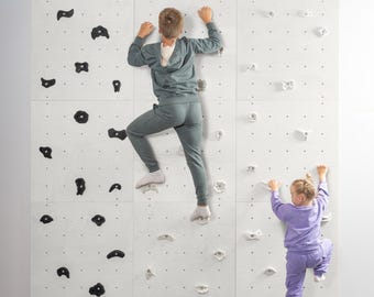 Kids Indoor Climbing Wall Panel Kit: Plywood Rock Climbing