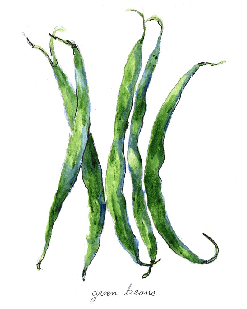 Green Beans Print Food Art Food Illustration Watercolor Etsy