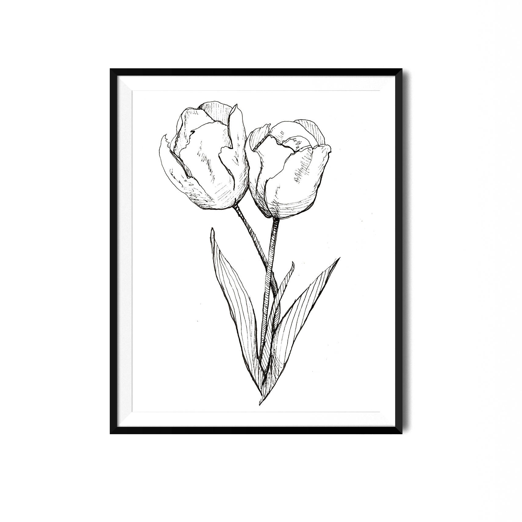 Tulip Pictures To Print
