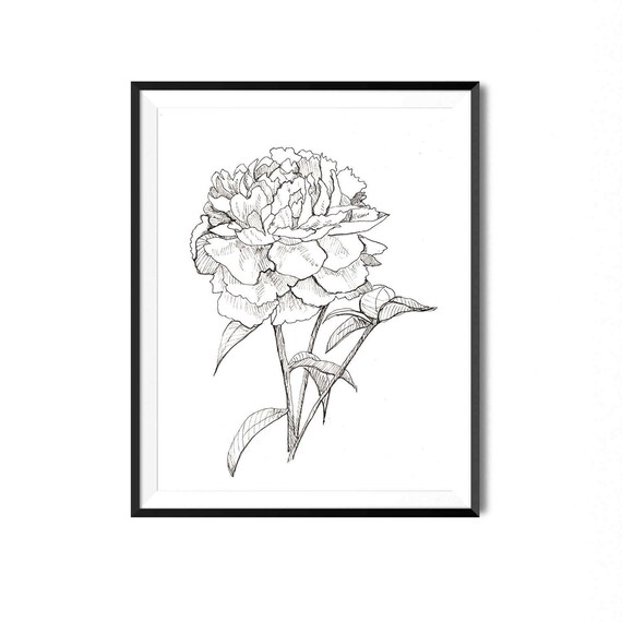 Raspberry Original Ink Drawing Print Kraft Note Card
