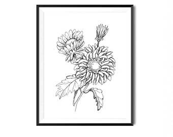 Aster Flower Print, Botanical Illustration, Wall Art, Flower Art Print, Floral Art, Botanical Print, Black and White Flower Print, Flora Art