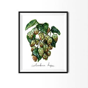 Hops Print, Beer Art, Plant Illustration, Columbus Hops, Kitchen Decor, Hops Painting, Botanical Print, Food Print, Gifts for Dad