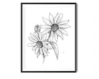 SunFlower Print, Botanical Illustration, Wall Art, Flower Art Print, Floral Art, Botanical Print, Black and White Flower Print, Floral Art