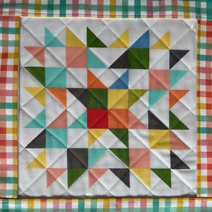 May include: A colorful quilt block with a star pattern made from various shades of pink, orange, yellow, green, blue, and black triangles. The quilt block is surrounded by a white border and a gingham border.