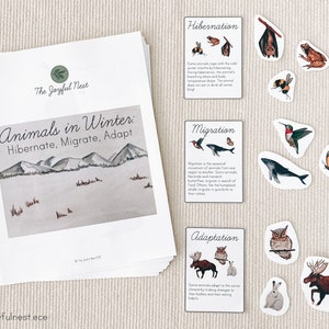 Animals in Winter migrate, Hibernate, Adapt Zoology Printable