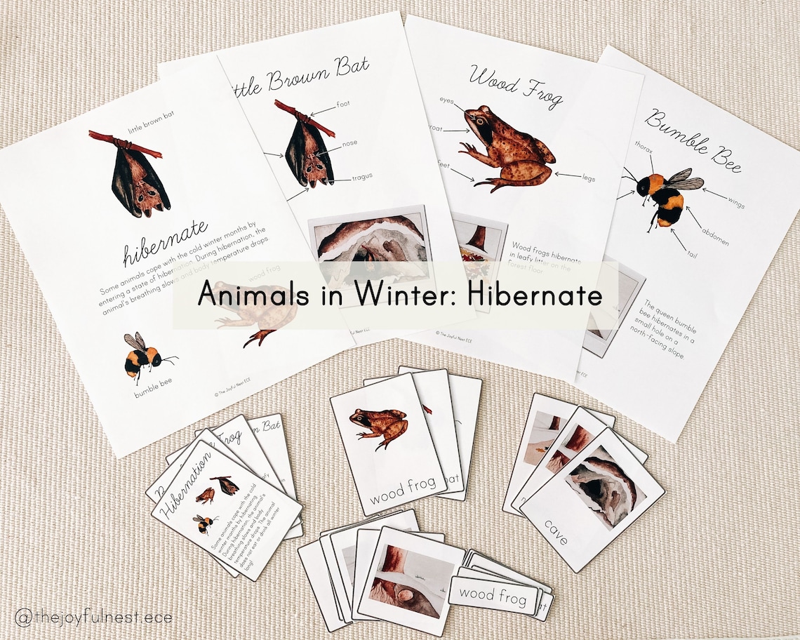Animals in Winter: Hibernate, Migrate, Adapt | Unit Study | Montessori ...