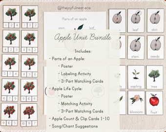 Apple Unit Bundle: Apple life cycle, anatomy, counting, and more! Printable PDF