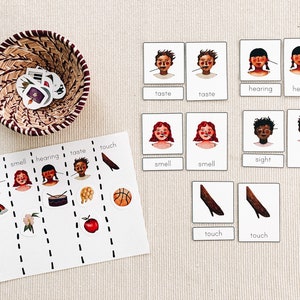 Activités des cinq sens et cartes Montessori en 3 parties | Téléchargement PDF imprimable
