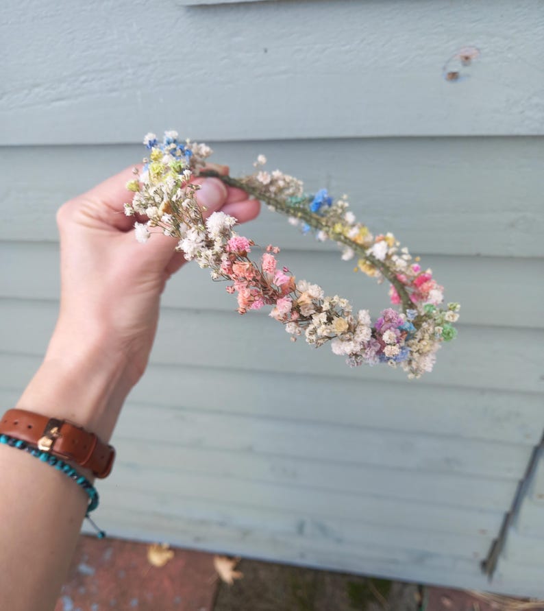 Gypsophila/dried flower/fairy crown 画像 10