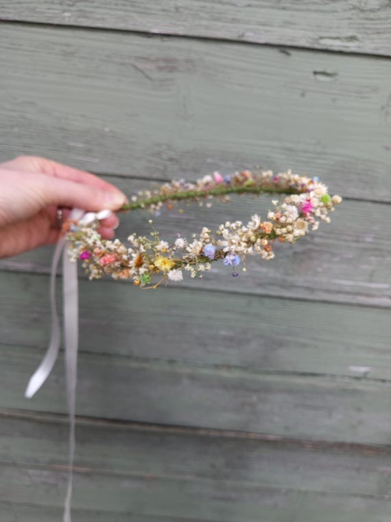 Gypsophila/dried flower/fairy crown