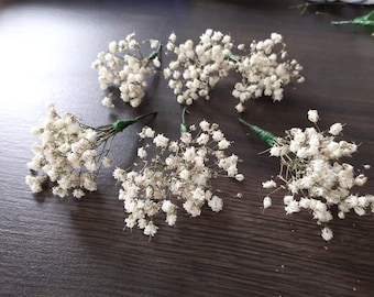 Dried gypsophila sprigs