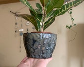Small hanging macrame planter