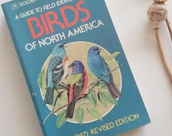 Vintage Golden Nature Guide, Field book, Color Illustrations, Birds of North America, 1983, identification, education, birder