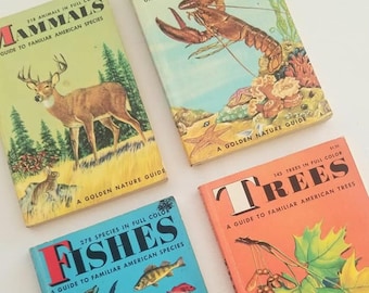 Golden Guides, Vintage Field Guide Book, 1950s editions, Identification Guide, Shells, Nature Books, paperbacks