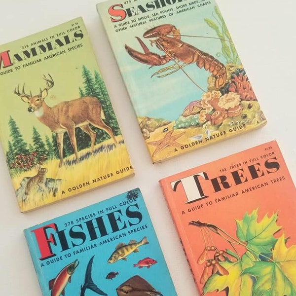 Golden Guides, Vintage Field Guide Book, 1950s editions, Identification Guide, Shells, Nature Books, paperbacks