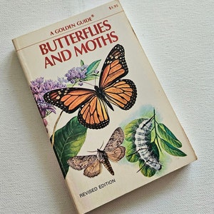 Butterflies and Moths, Golden Guide, pocket book, reference book, 1977, Robert Mitchell