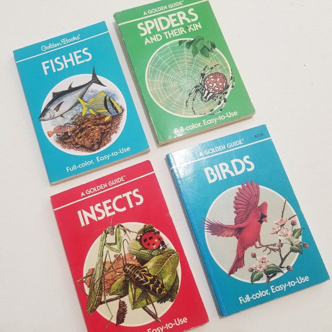 Golden Guides, Vintage Field Guide Book, Identification Guide, Shells ...