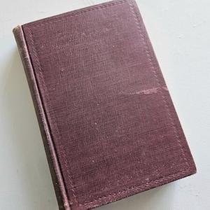 Water Babies, Charles Kingsley, Mershon Company, Hardback, Illustrated, Aged Vintage book, fairy tale