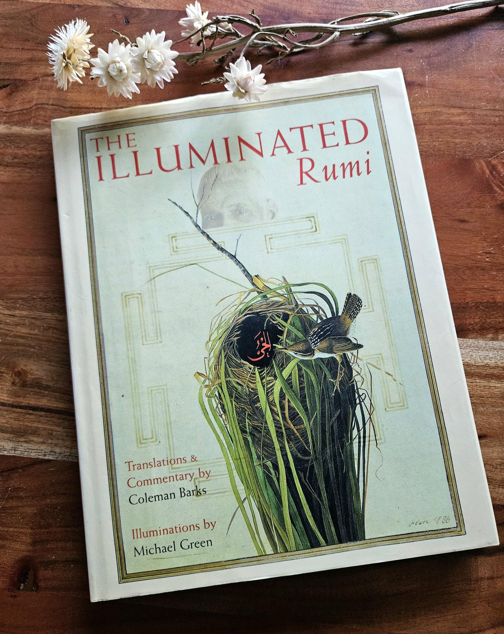 Rumi Vintage Book - Etsy