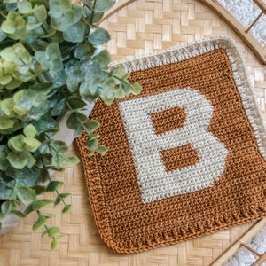 May include: A crocheted square with the letter "B" in white yarn on a brown background. The square has a white border.