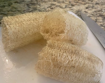 Heirloom Luffa Aegyptiaca Seeds 2026 (~30 per pack)