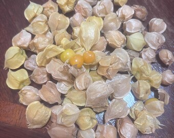 Aunt Molly’s Ground Cherries (min. 30 seeds per pack)