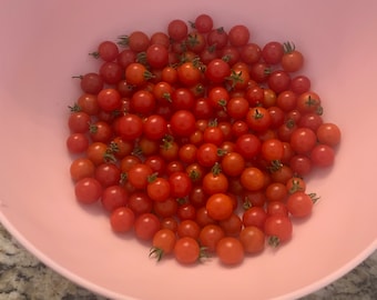 Spoon tomato seeds (approx. 25 seeds per pack)