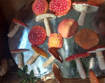 6x Realistic Mushroom magnets you didn't know you needed