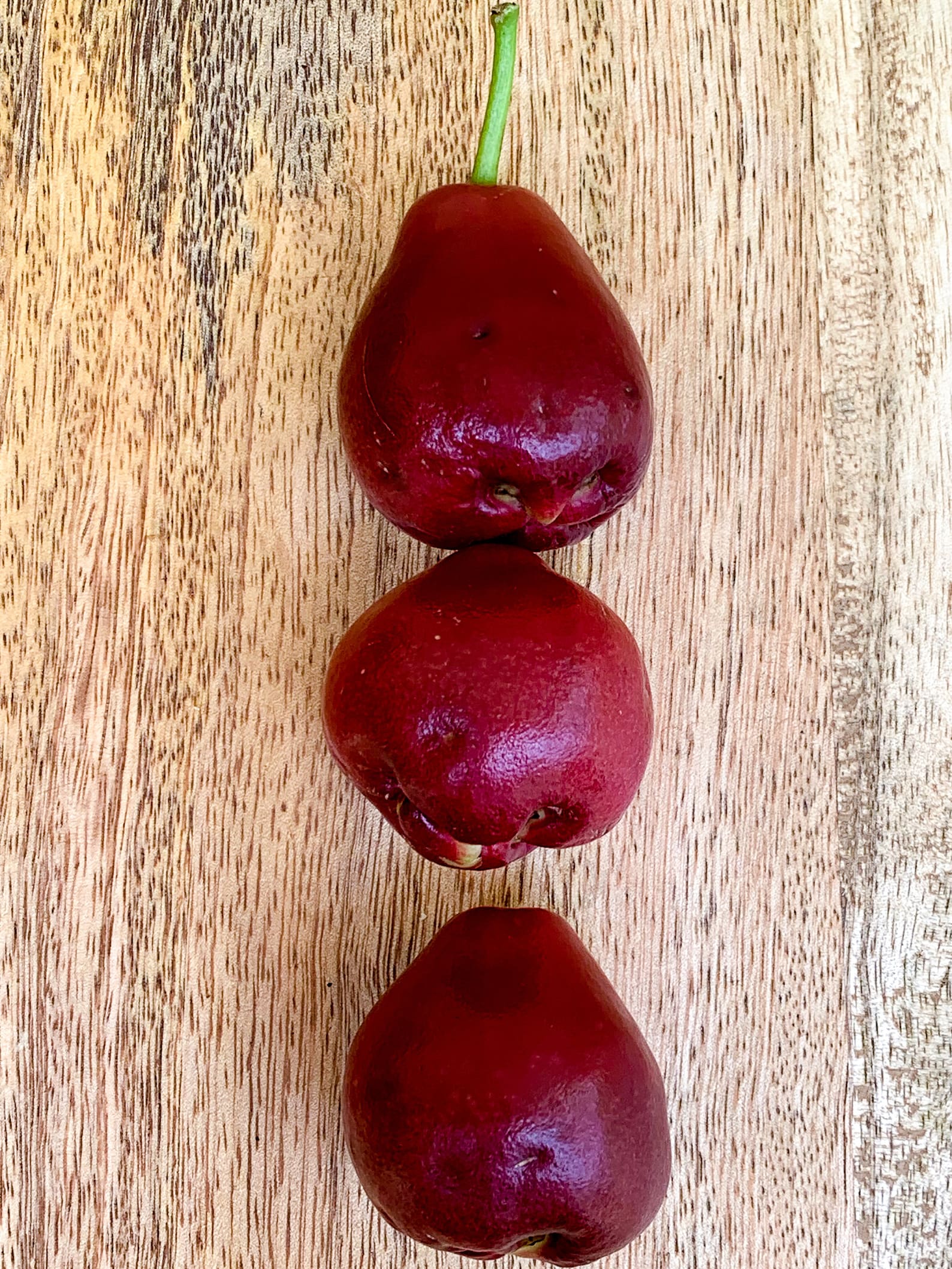 Purple Malay Apple Syzygium Malaccense Fruit Tree Starter Potted Plant ...
