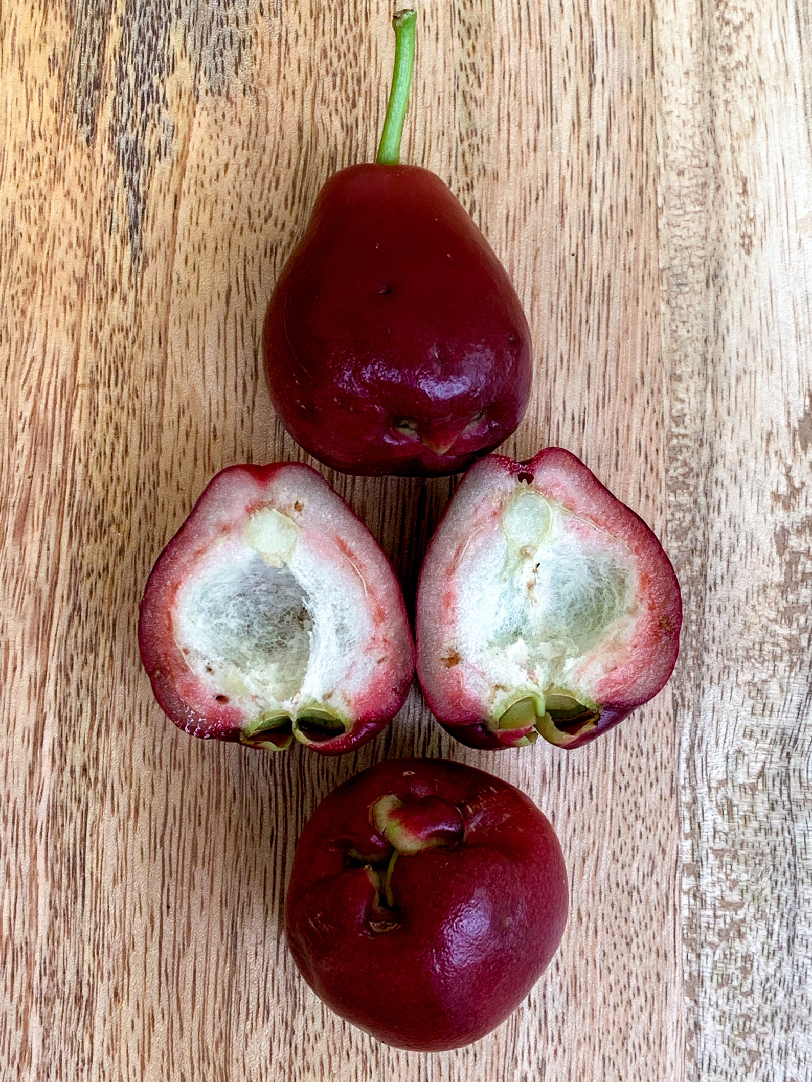 Purple Malay Apple Syzygium Malaccense Fruit Tree Starter Potted Plant ...