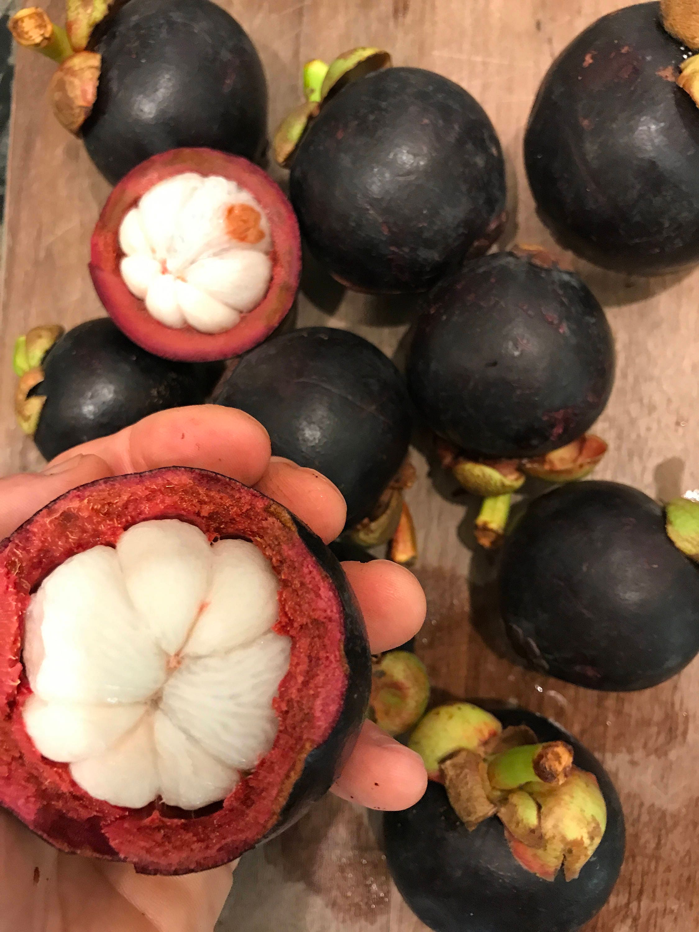 Purple Mangosteen Garcinia Mangostana Florida Tropical King Etsy