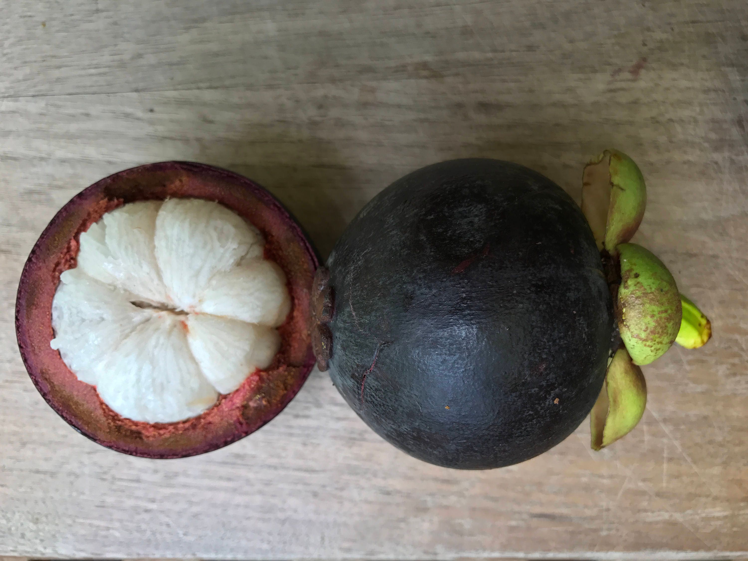 Purple Mangosteen Garcinia Mangostana Florida Tropical King Etsy