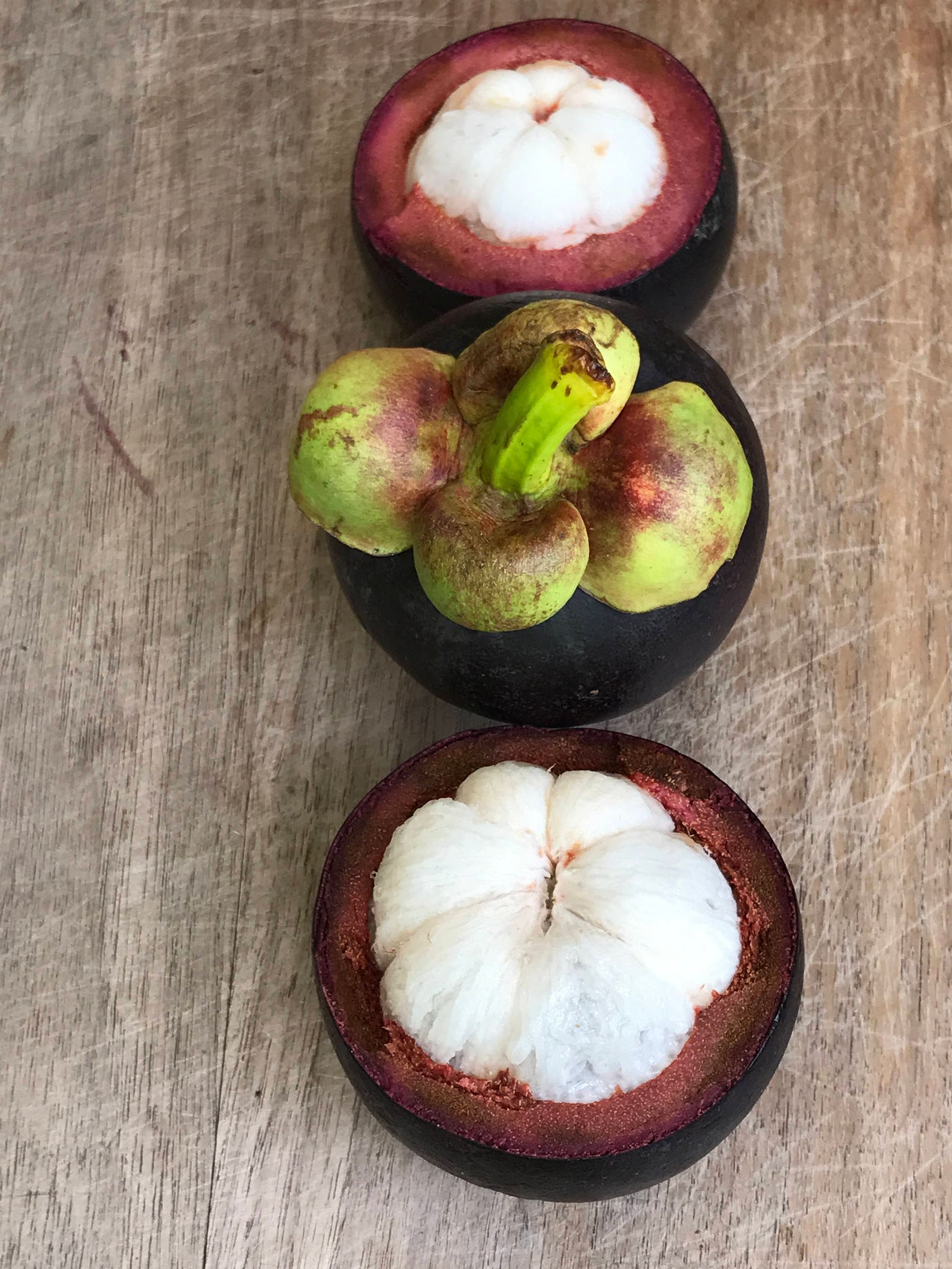 Purple Mangosteen Garcinia Mangostana Florida Tropical King Etsy